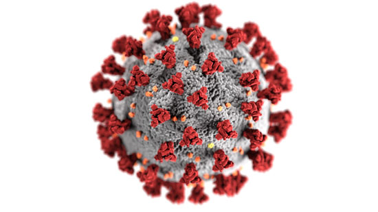 coronavirus, COVID-19